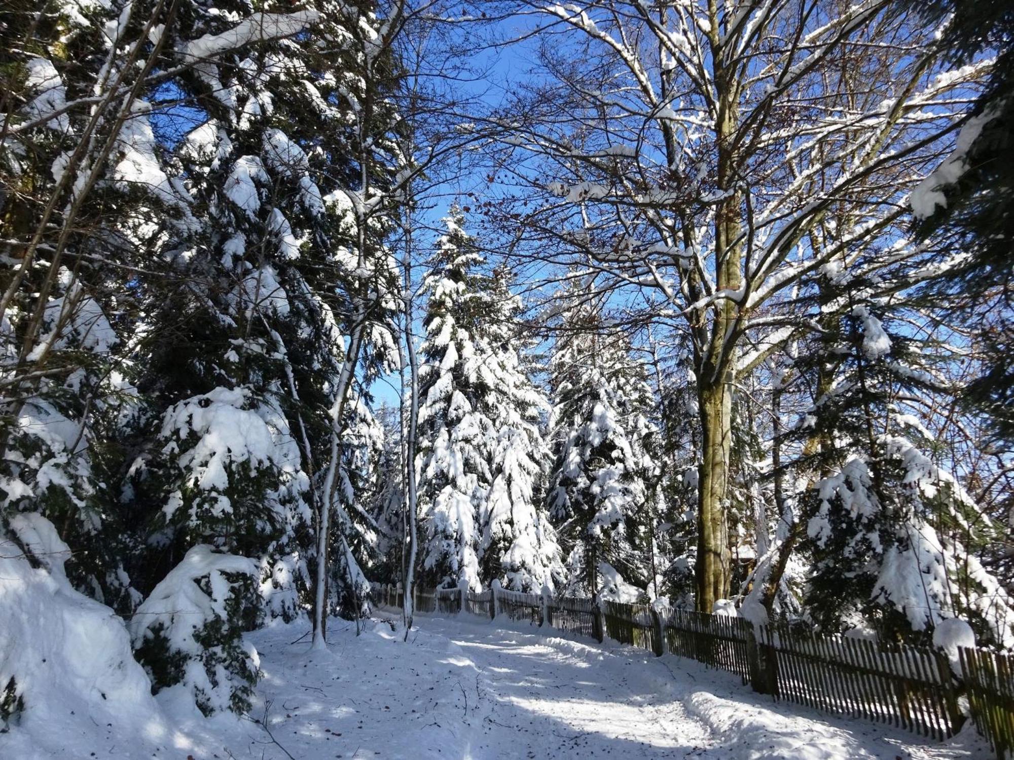 Cozy Holiday Home in Lo burg near Ski Area Loßburg Zewnętrze zdjęcie